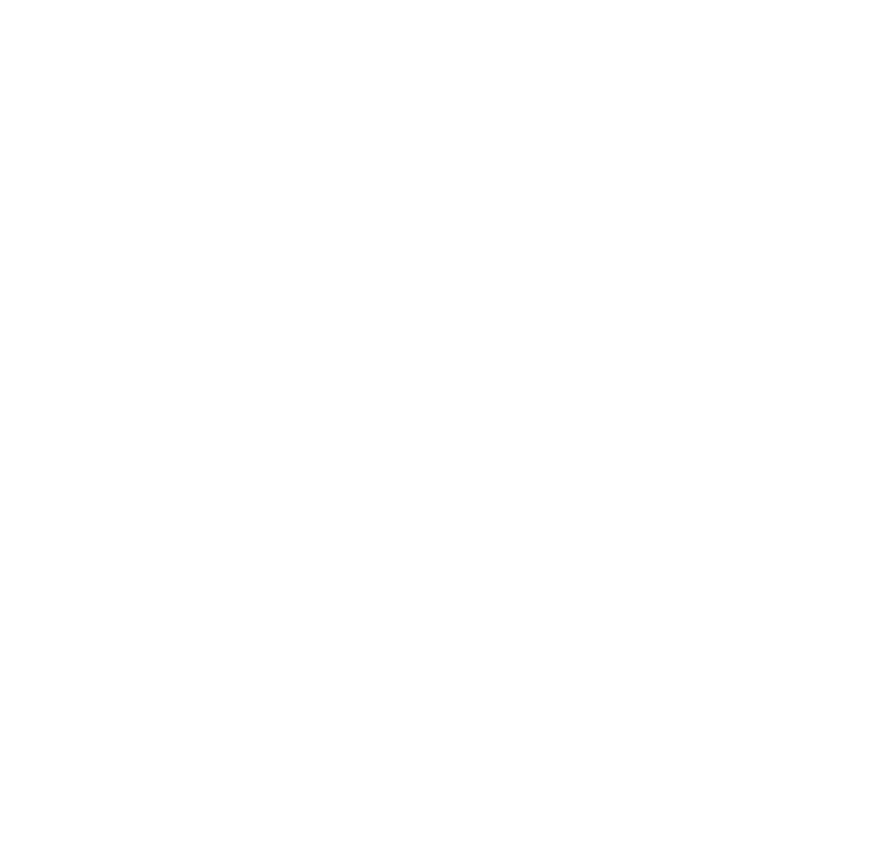 Community Access Media