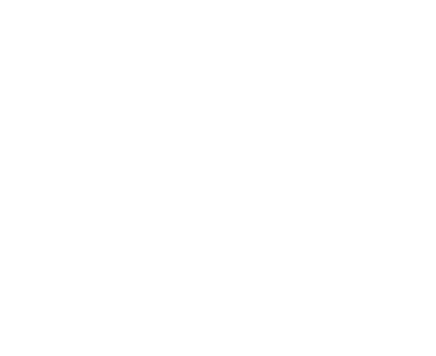 Chiropractic Fitness